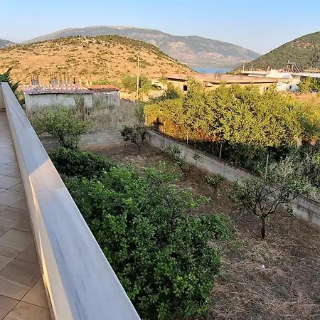 Margot * كساميل